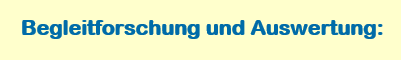Begleitforschung