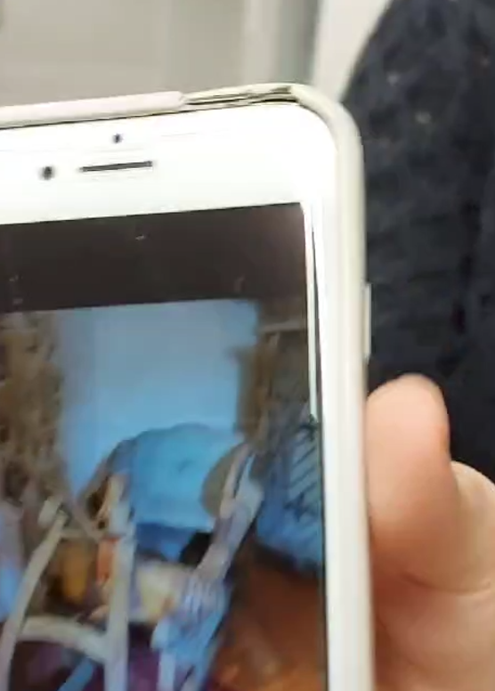 Handyfoto